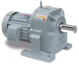 MG Gearmotor