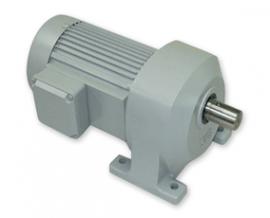 Max Gear Motor