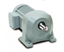 Max 2 Gear Motor