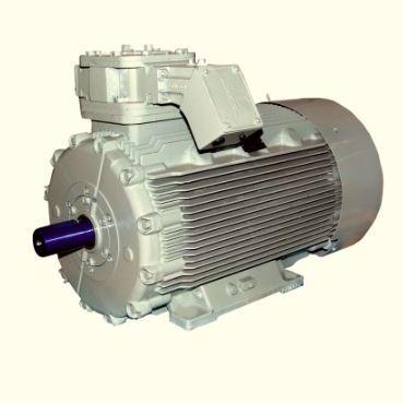 IEC Motor-3 phase