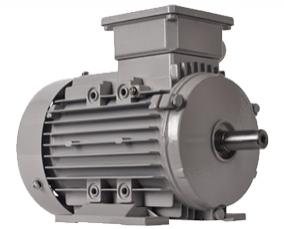 IEC/ NEMA Motor